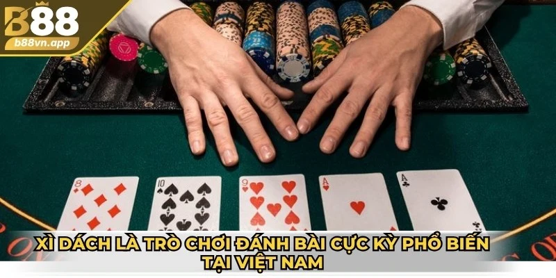 Xì dách là trò chơi đánh bài cực kỳ phổ biến tại Việt Nam